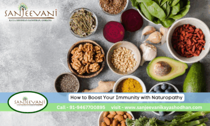 How to Boost Your Immunity with Naturopathy