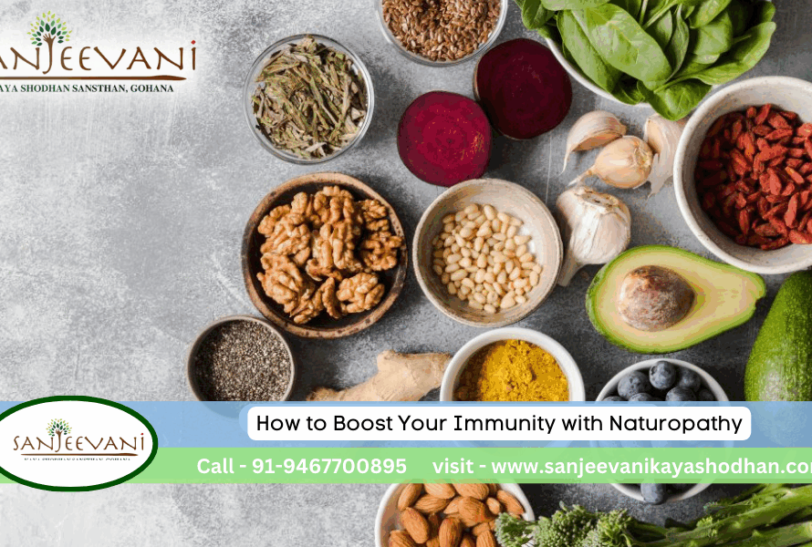 How to Boost Your Immunity with Naturopathy
