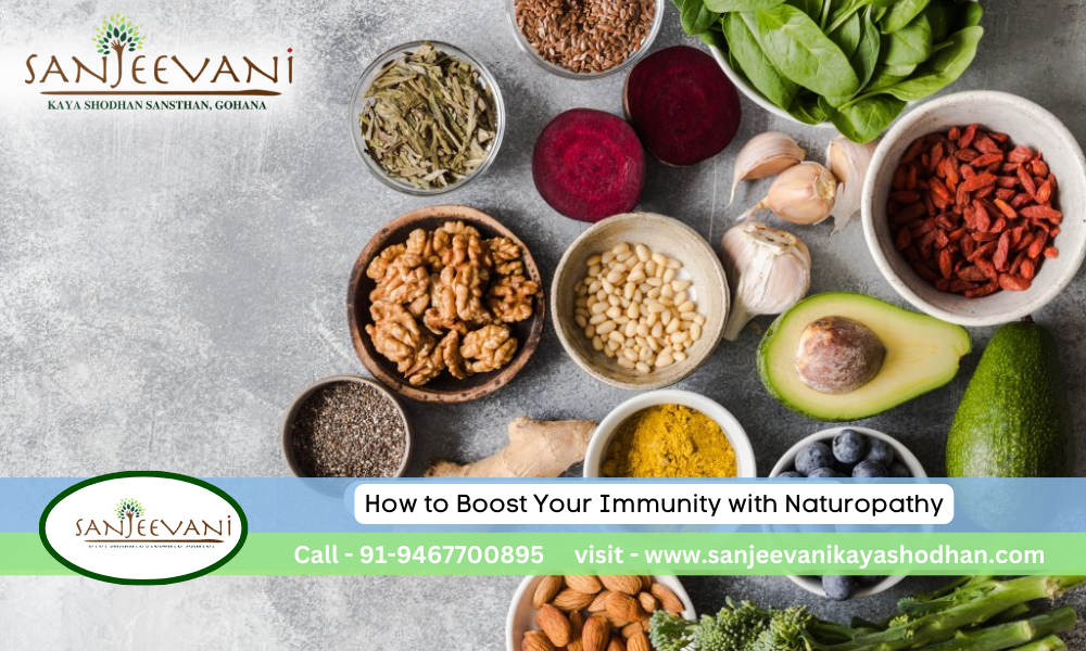 How to Boost Your Immunity with Naturopathy